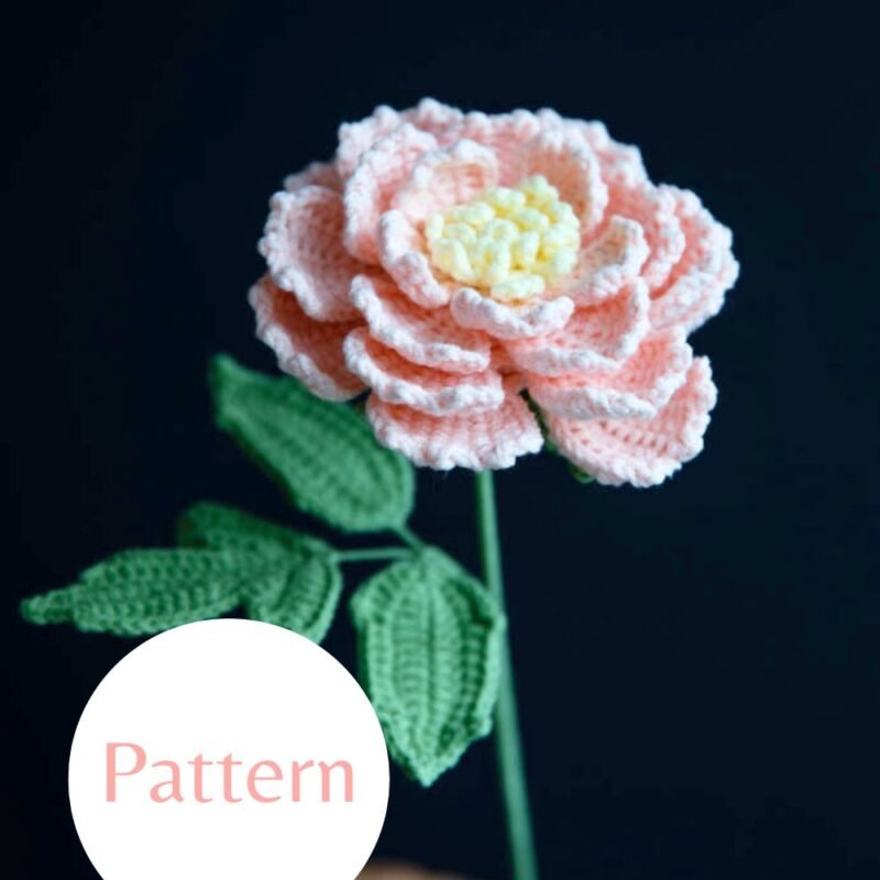 Blush Peony #2